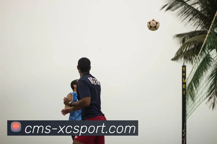 杏彩体育服务体系